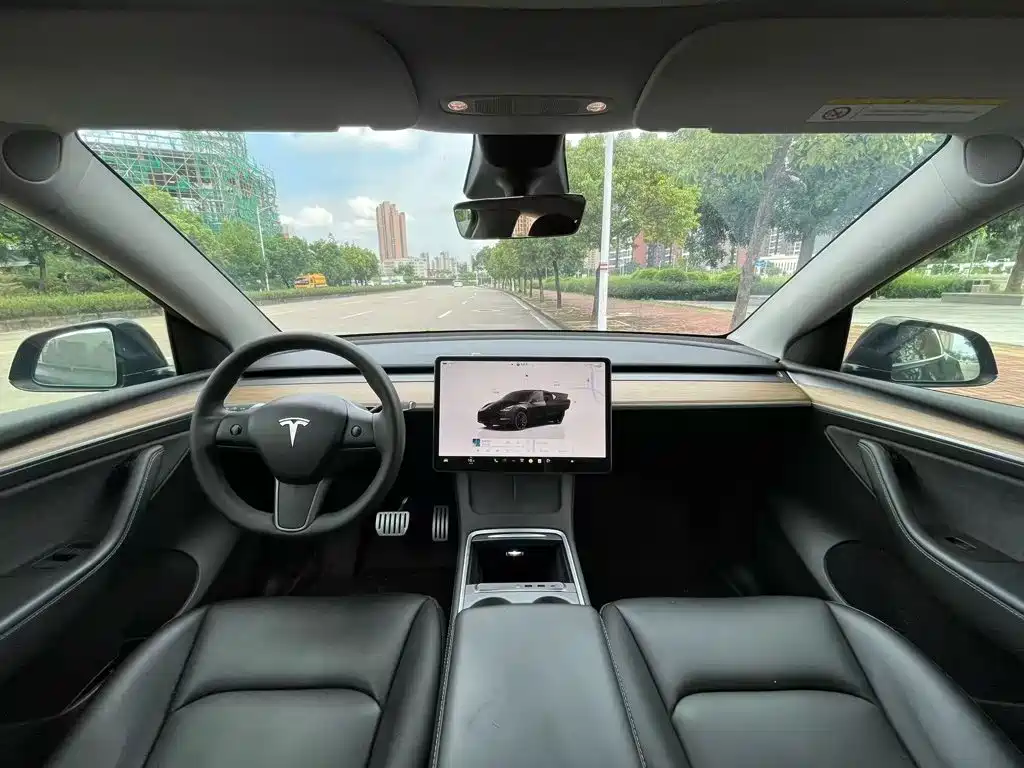 Tesla Model Y — миниатюра 5