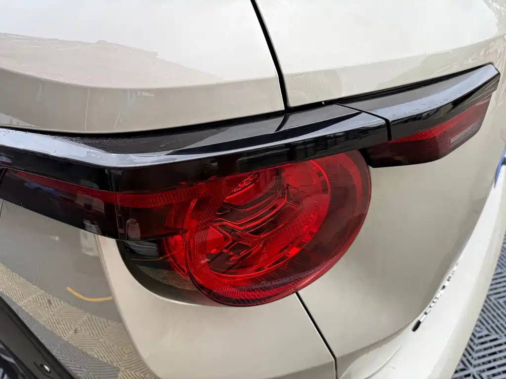 Haval Big Dog PLUS — миниатюра 7