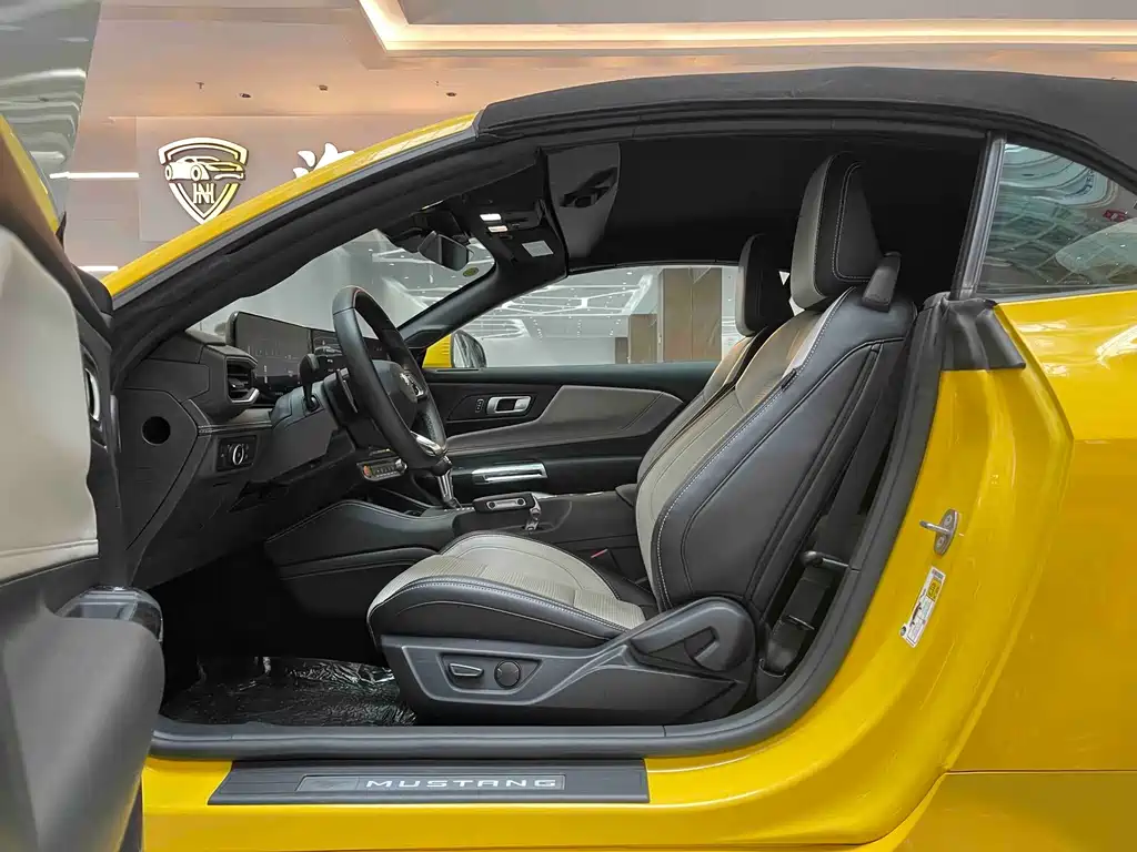 Ford Mustang — миниатюра 11