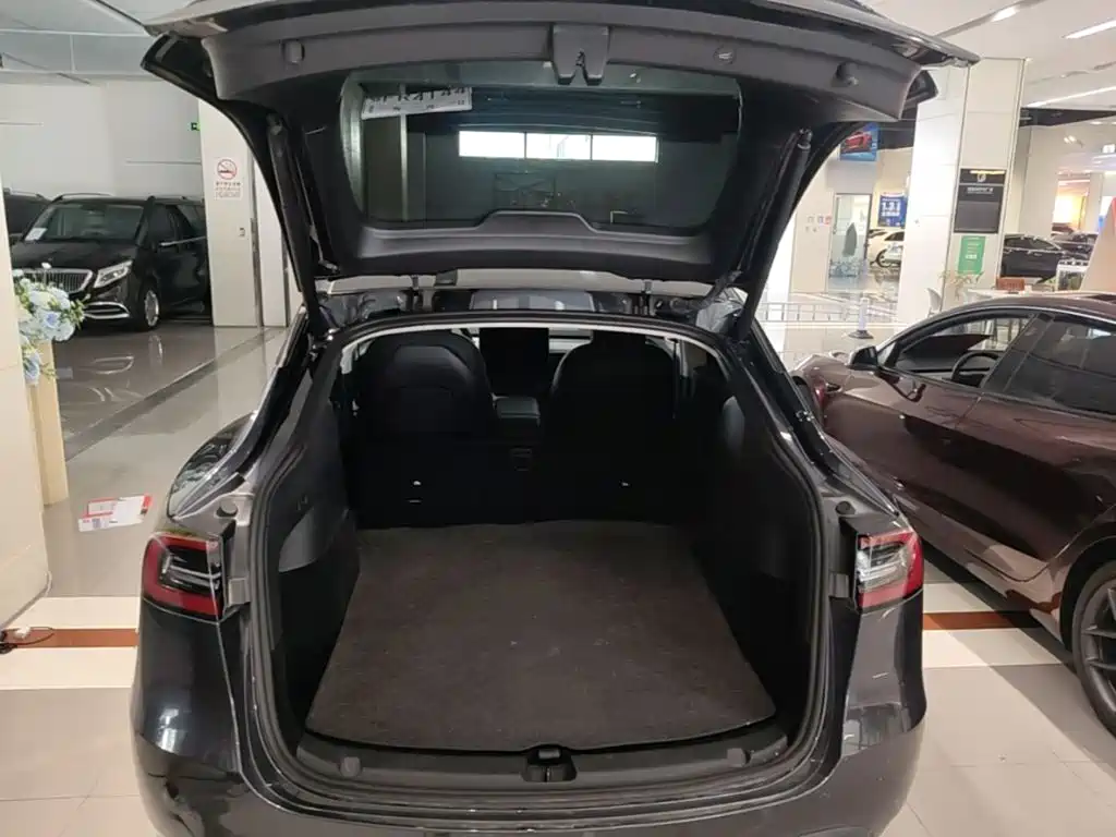 Tesla Model Y — миниатюра 19