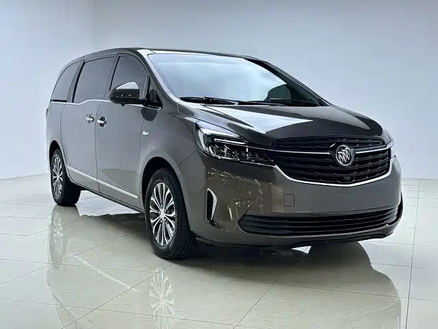 Buick GL8 — миниатюра 3