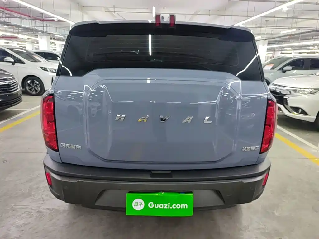 Haval Cool Dog — миниатюра 6