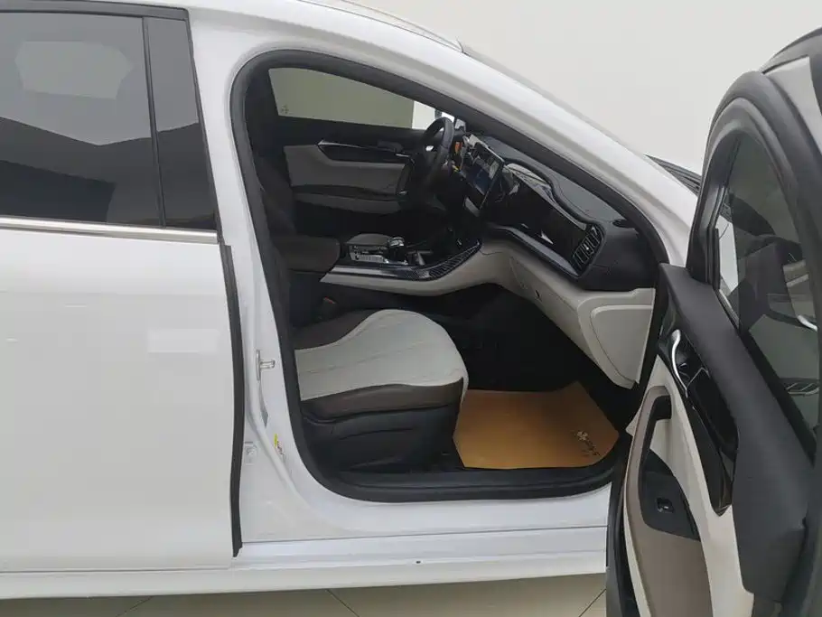BYD Qin Plus PLUS 2024 DM-i 55KM Lead