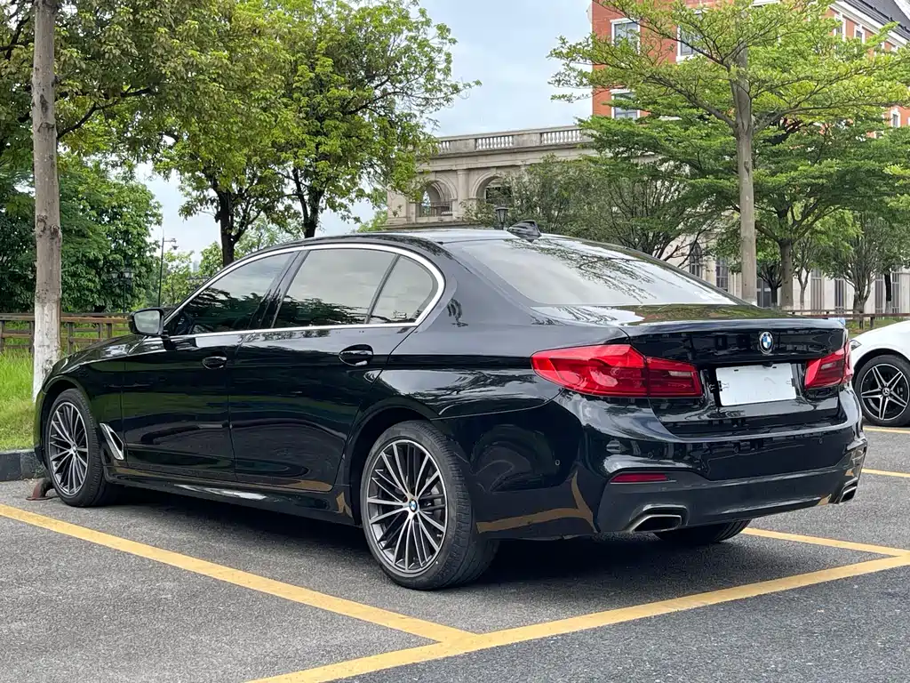 BMW 5 Series 5 2020 530Li Premium M Sport