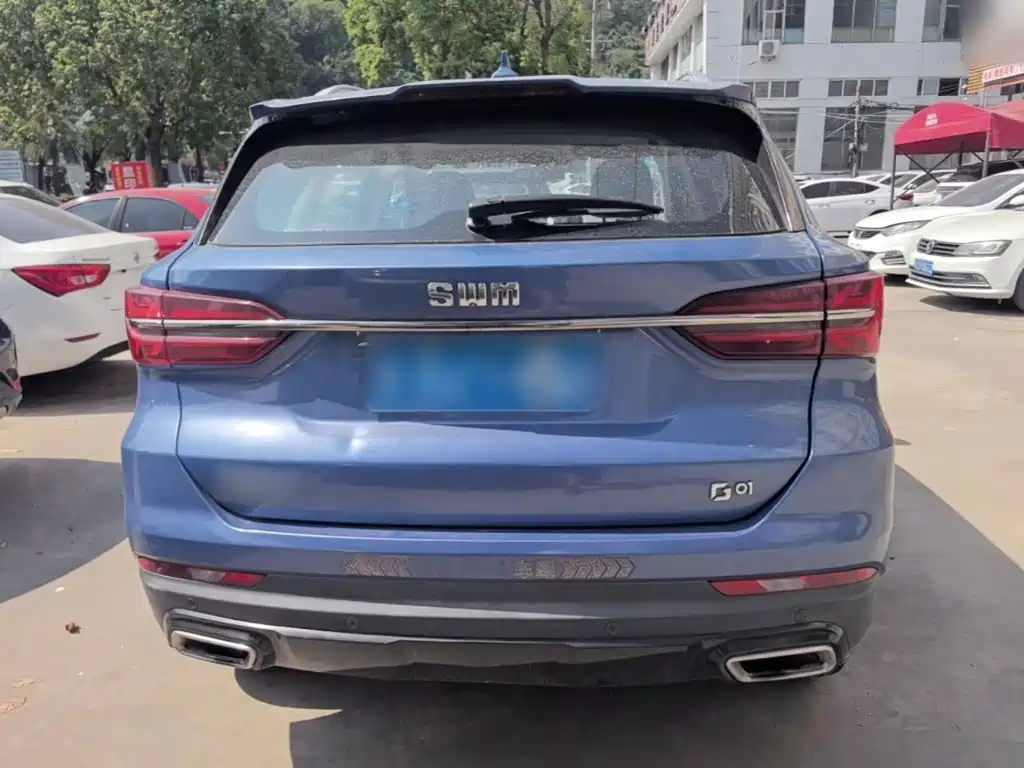 SWM SWM G01 — миниатюра 6