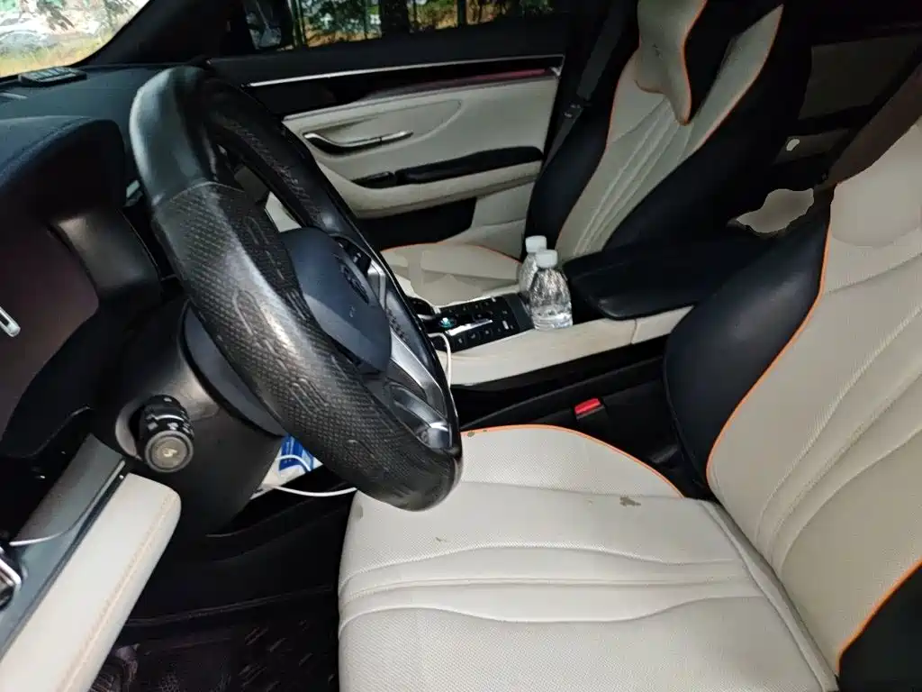 BYD PLUS New Energy — миниатюра 16