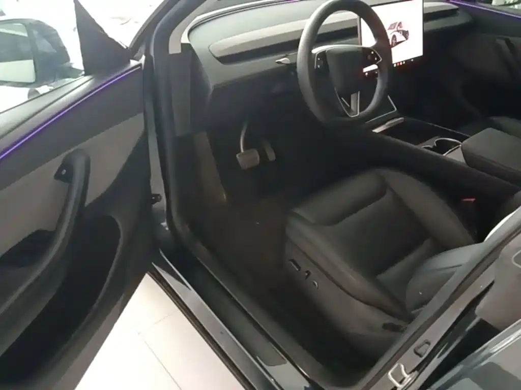 Tesla Model Y — миниатюра 16
