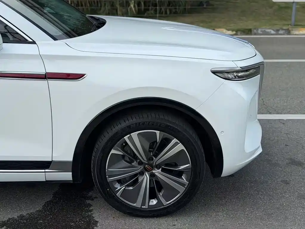 Hongqi Hongqi E-HS9 — миниатюра 10