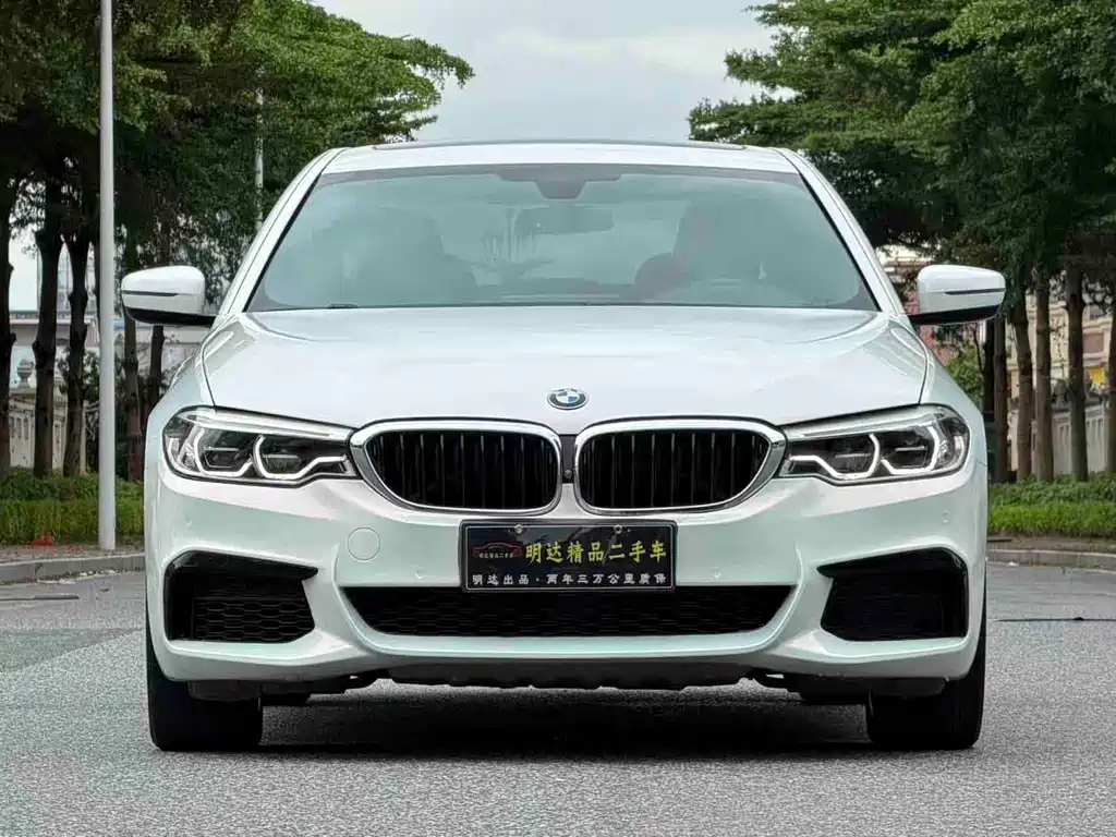 BMW 5 Series — миниатюра 3