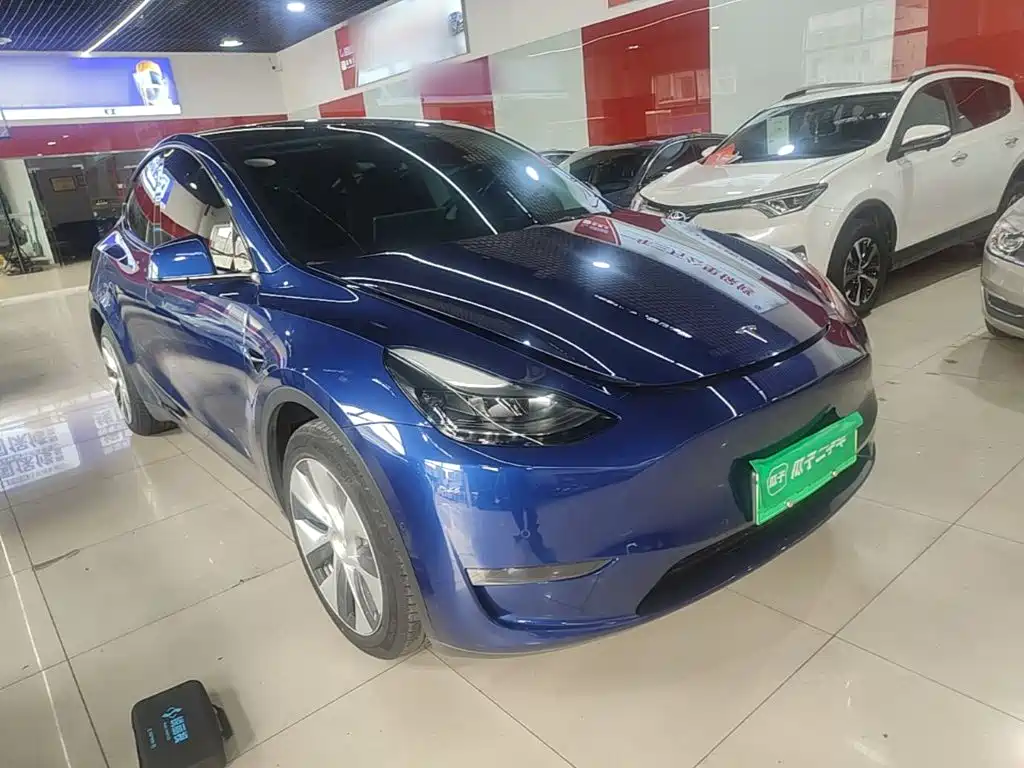 Tesla Model Y — миниатюра 4