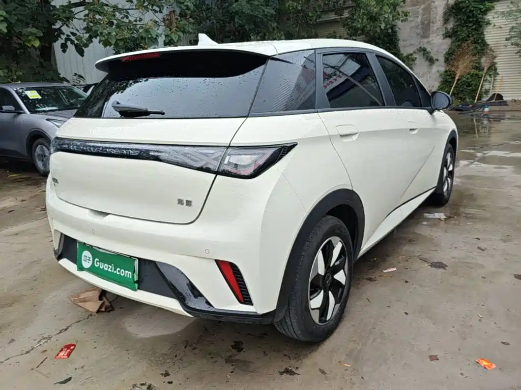 BYD Dolphin — миниатюра 7