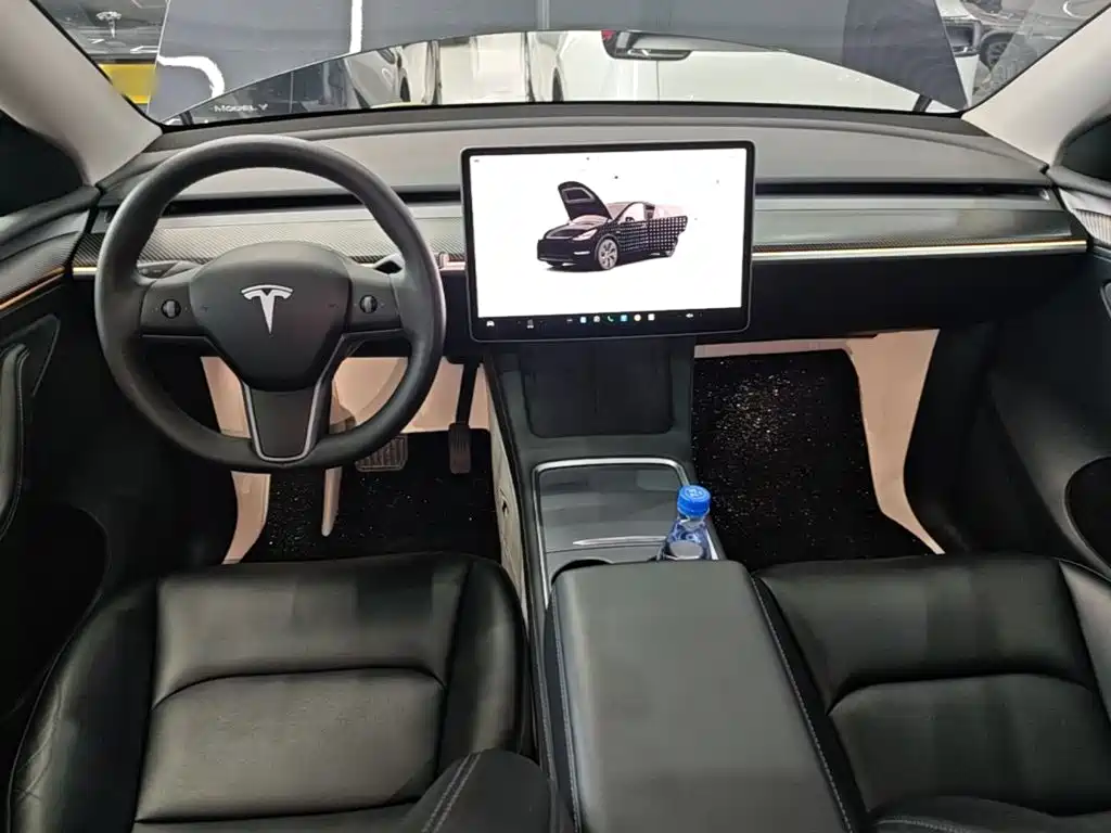 Tesla Model Y — миниатюра 10