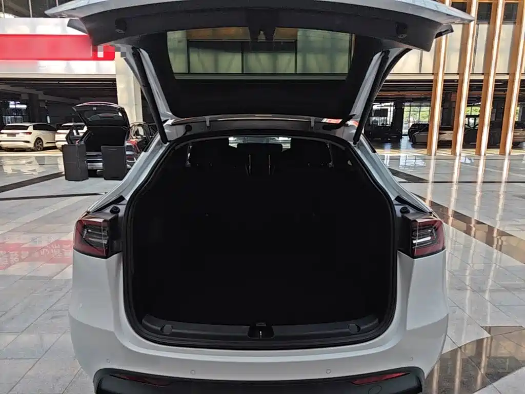 Tesla Model Y — миниатюра 19
