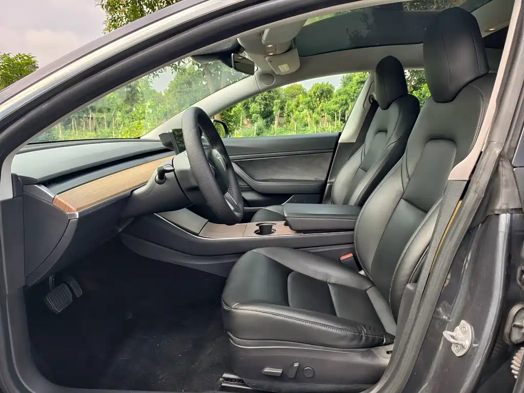 Tesla Model 3 — миниатюра 4