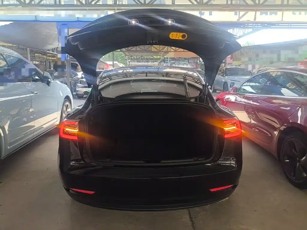 Tesla Model 3 — миниатюра 19
