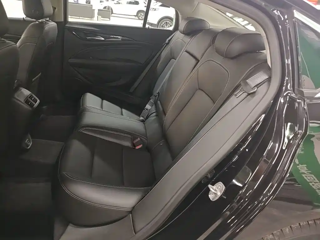 Buick Regal — миниатюра 17