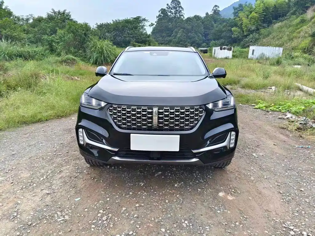 Wey Wey VV6 — миниатюра 2