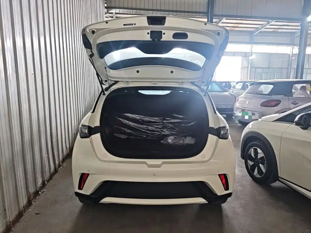 BYD Dolphin — миниатюра 19