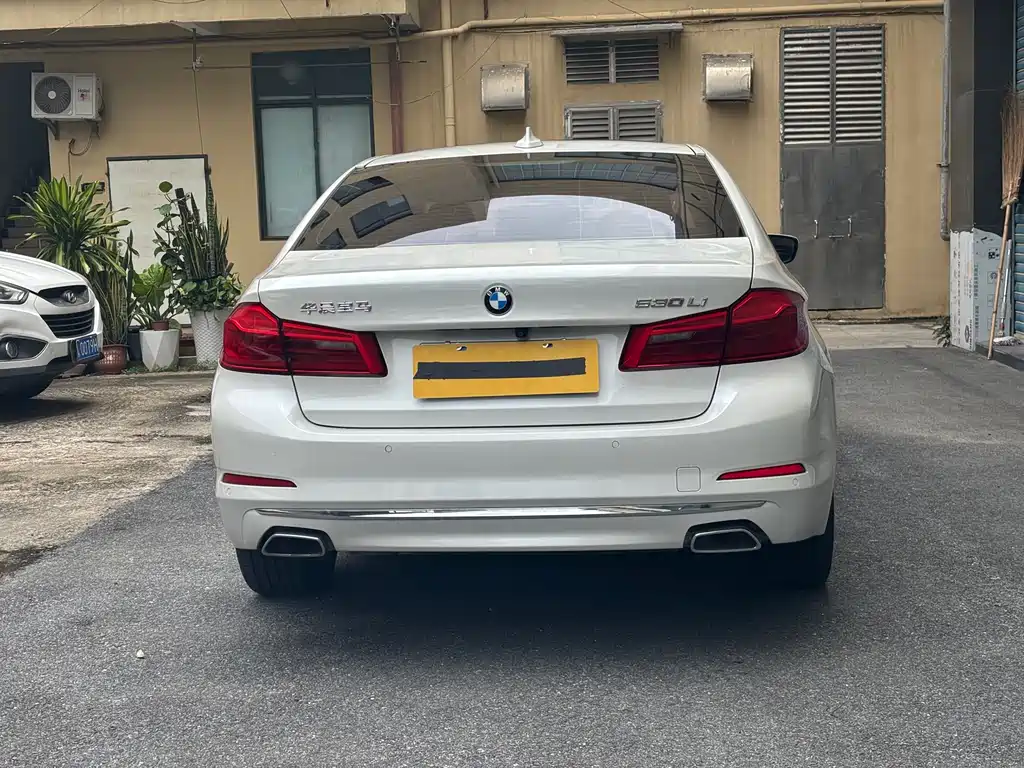 BMW 5 Series 5 2020 530Li Lead Luxury