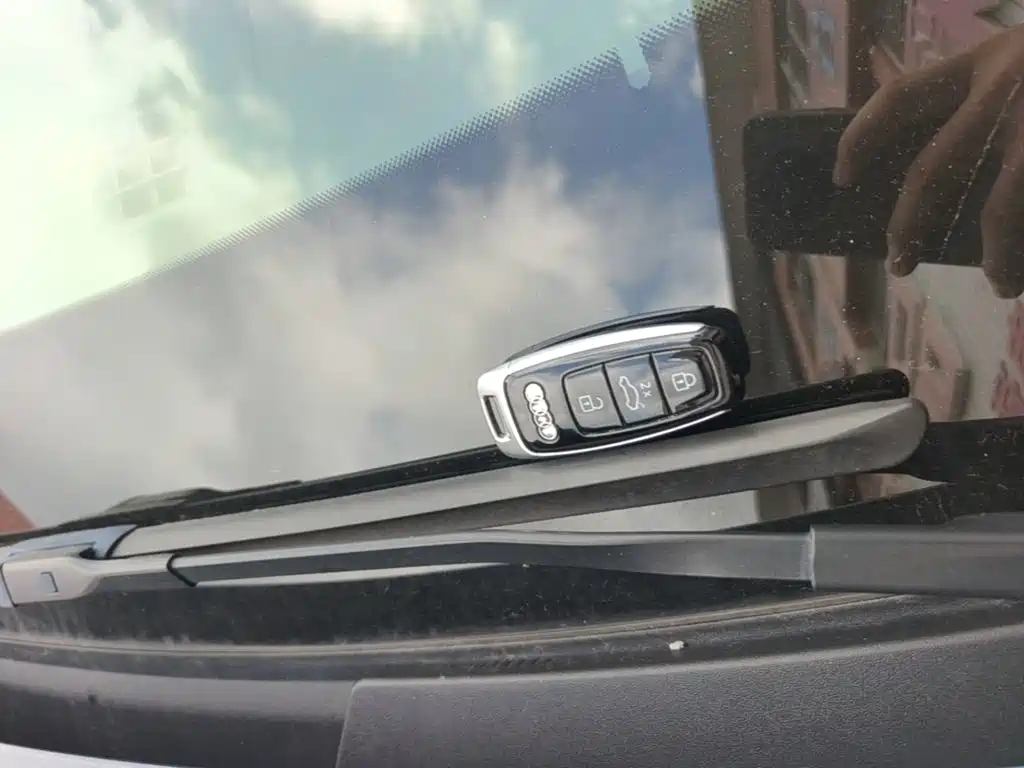 Audi e-tron (Import) — миниатюра 9