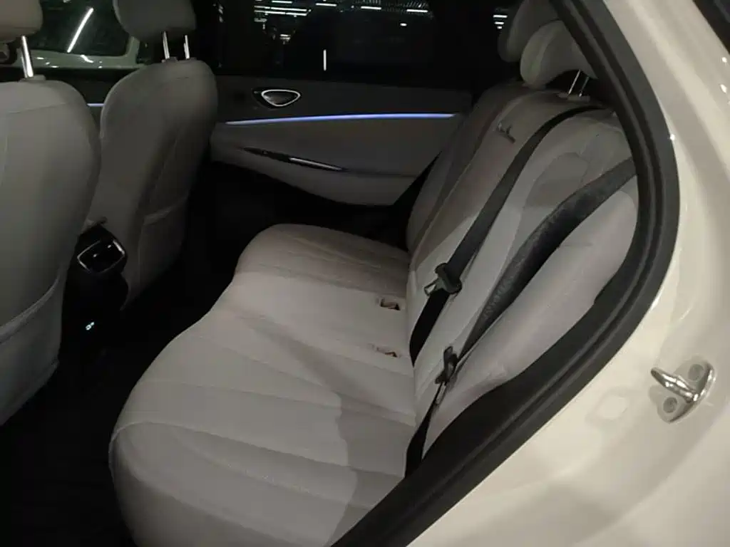BYD Haisi 06 — миниатюра 17