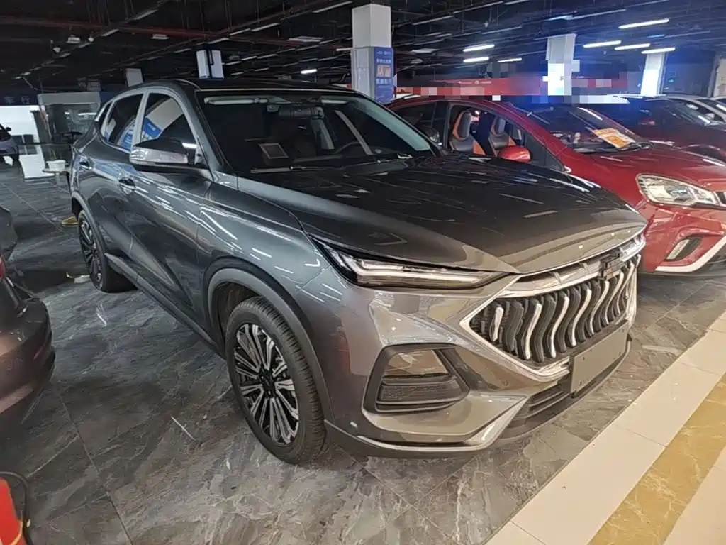 Oshan Oushang X5 — миниатюра 4