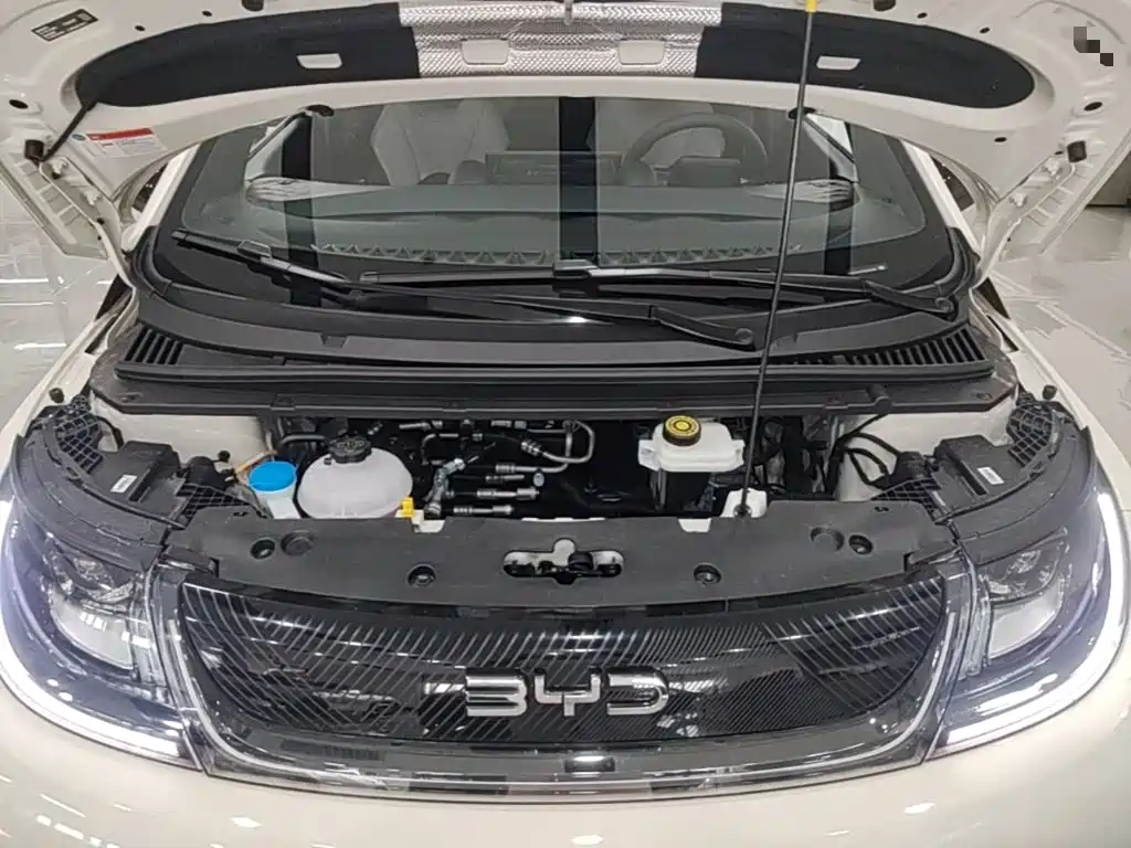 BYD Dolphin — миниатюра 20