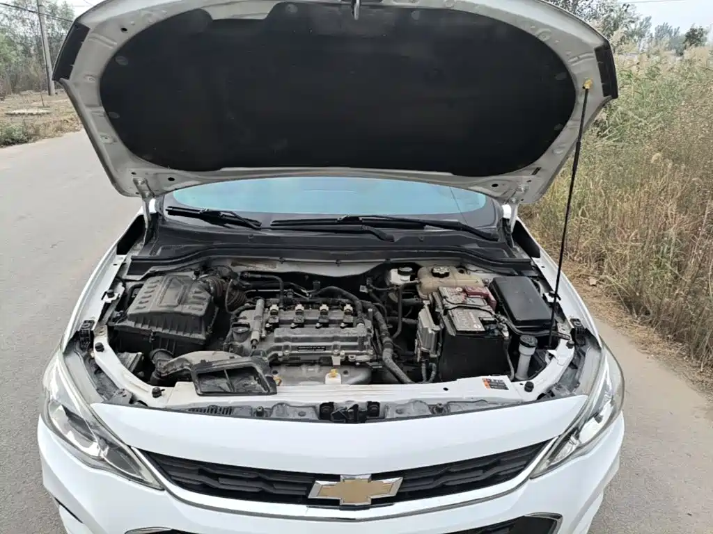Chevrolet Cavalier — миниатюра 20