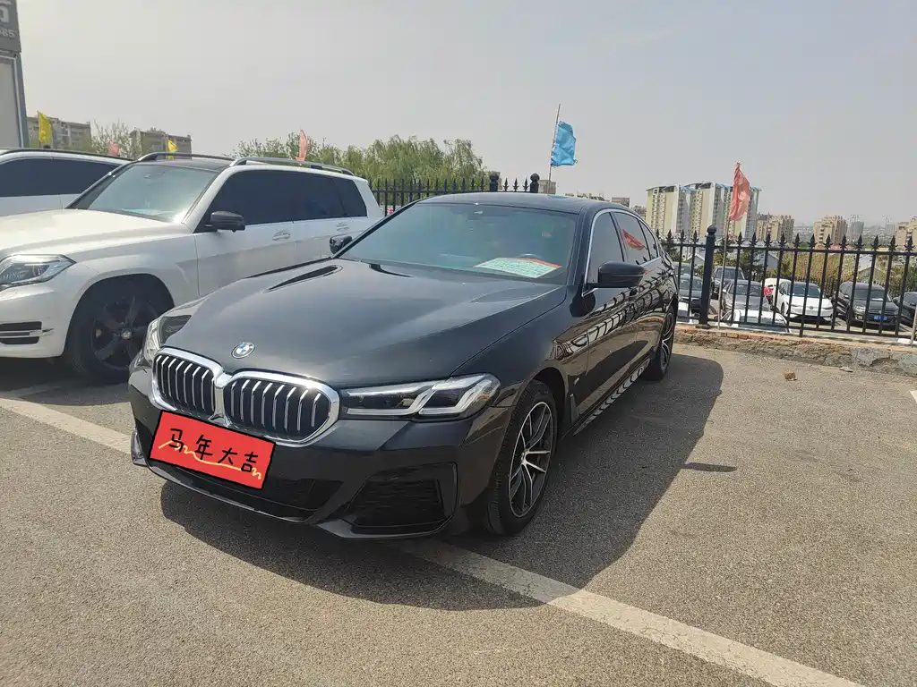 BMW 5 Series 2021