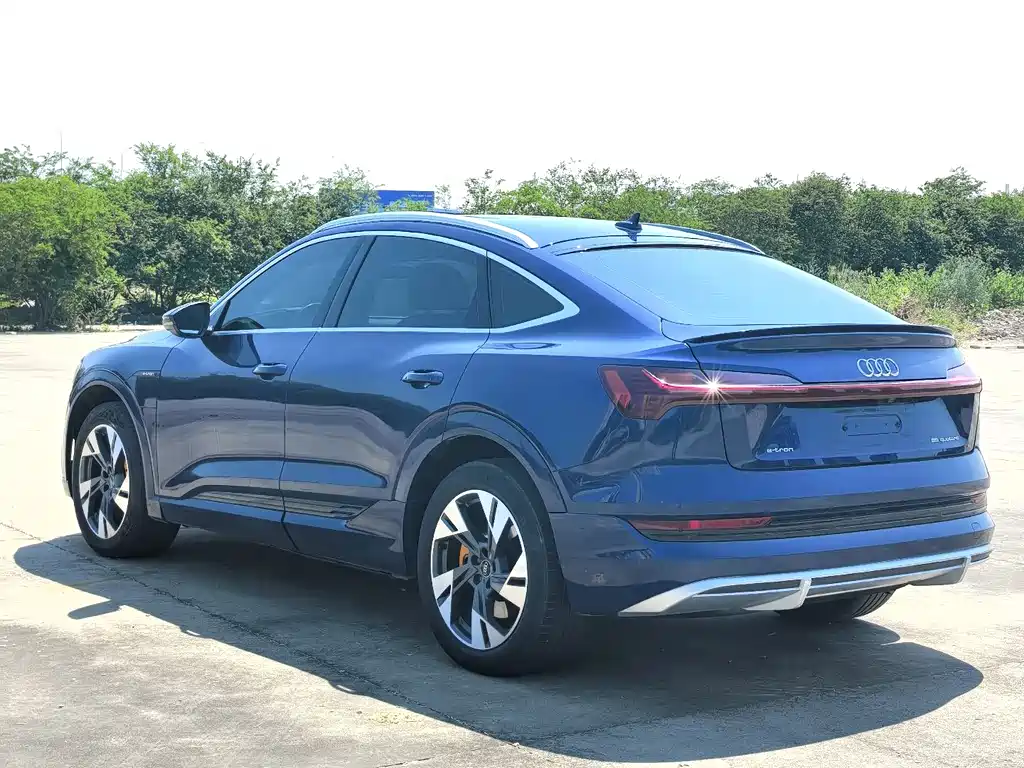 Audi e-tron 2021 50 quattro Luxury