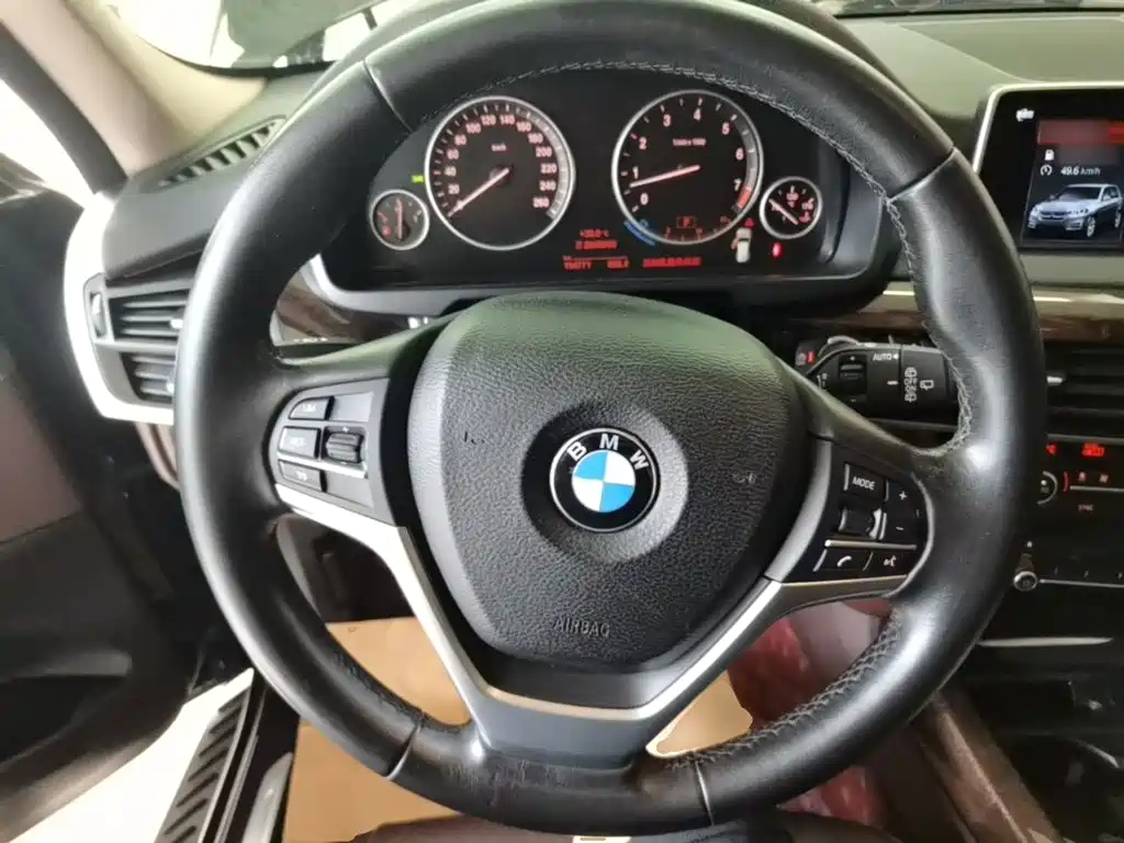BMW X5 (Import) — миниатюра 11