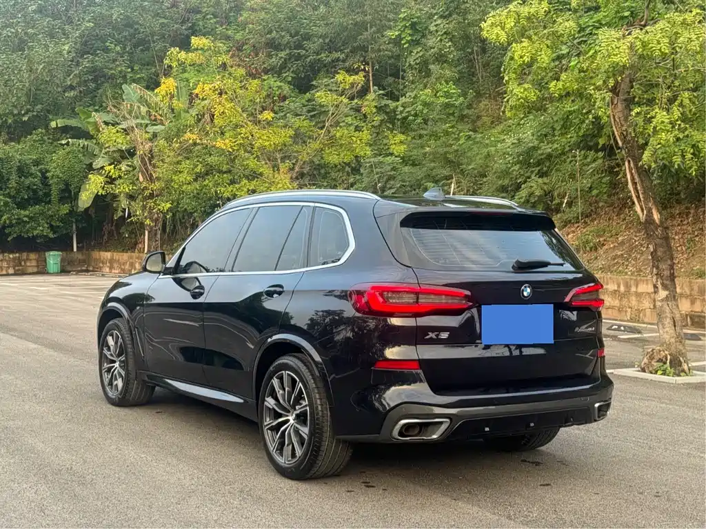 BMW X5 (Import) — миниатюра 6