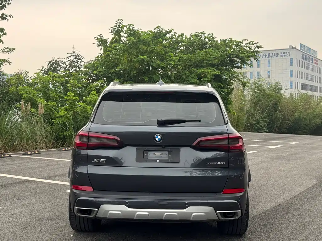 BMW X5 (Import) — миниатюра 5