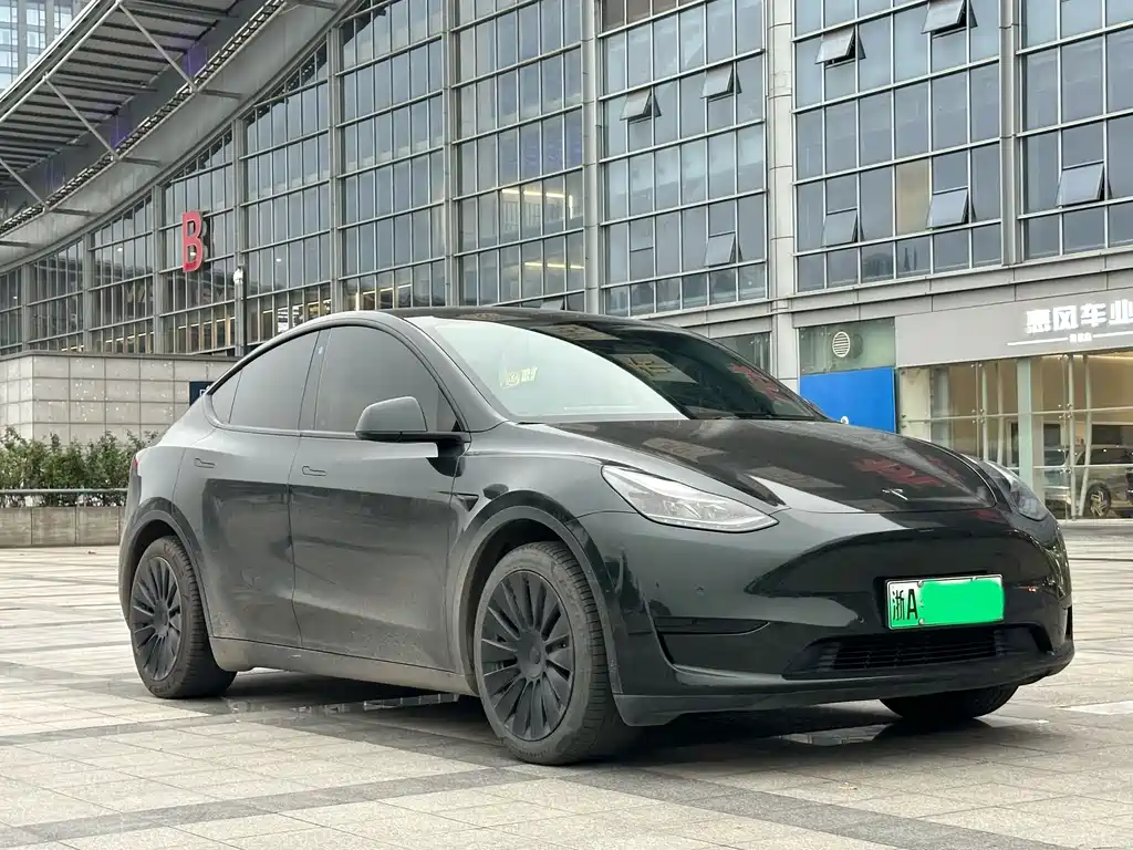 Tesla Model Y — миниатюра 3