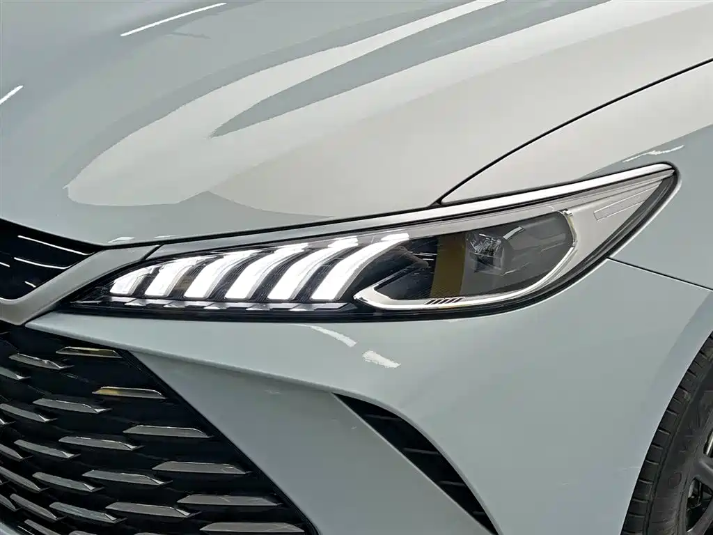 BYD Qin Plus PLUS 2025 DM-i Smart Drive 55KM Lead