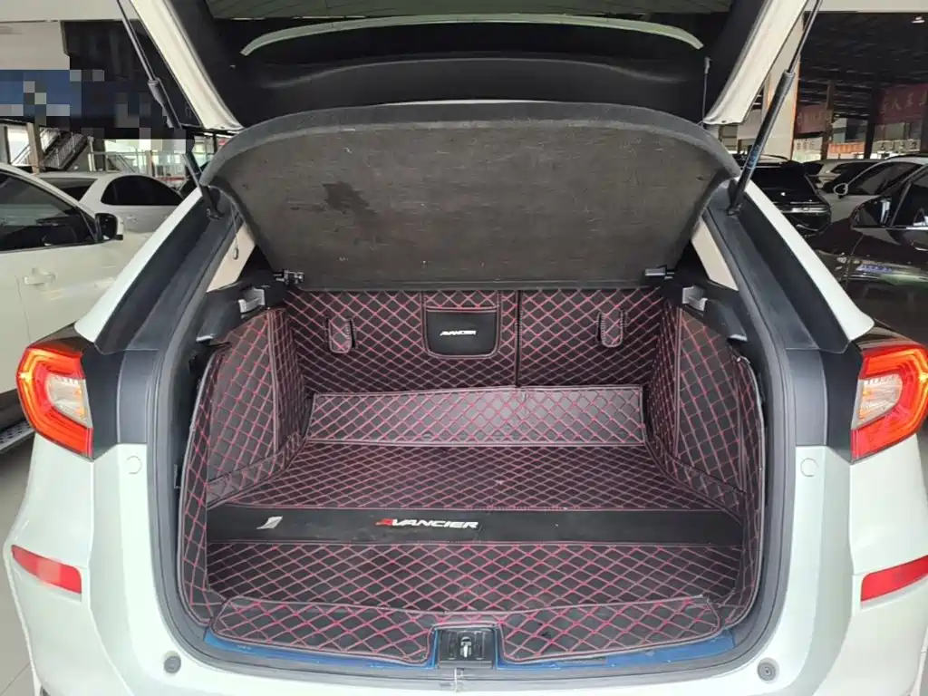 Honda Avancier — миниатюра 19