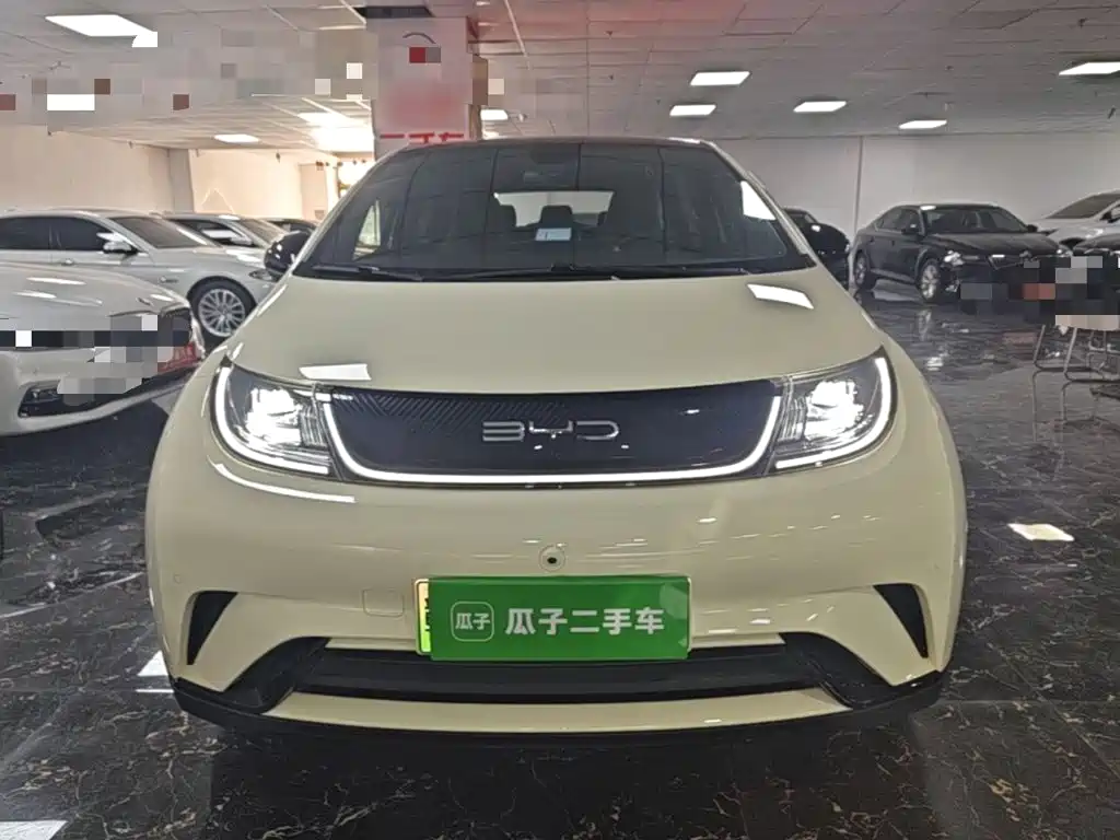 BYD Dolphin — миниатюра 3