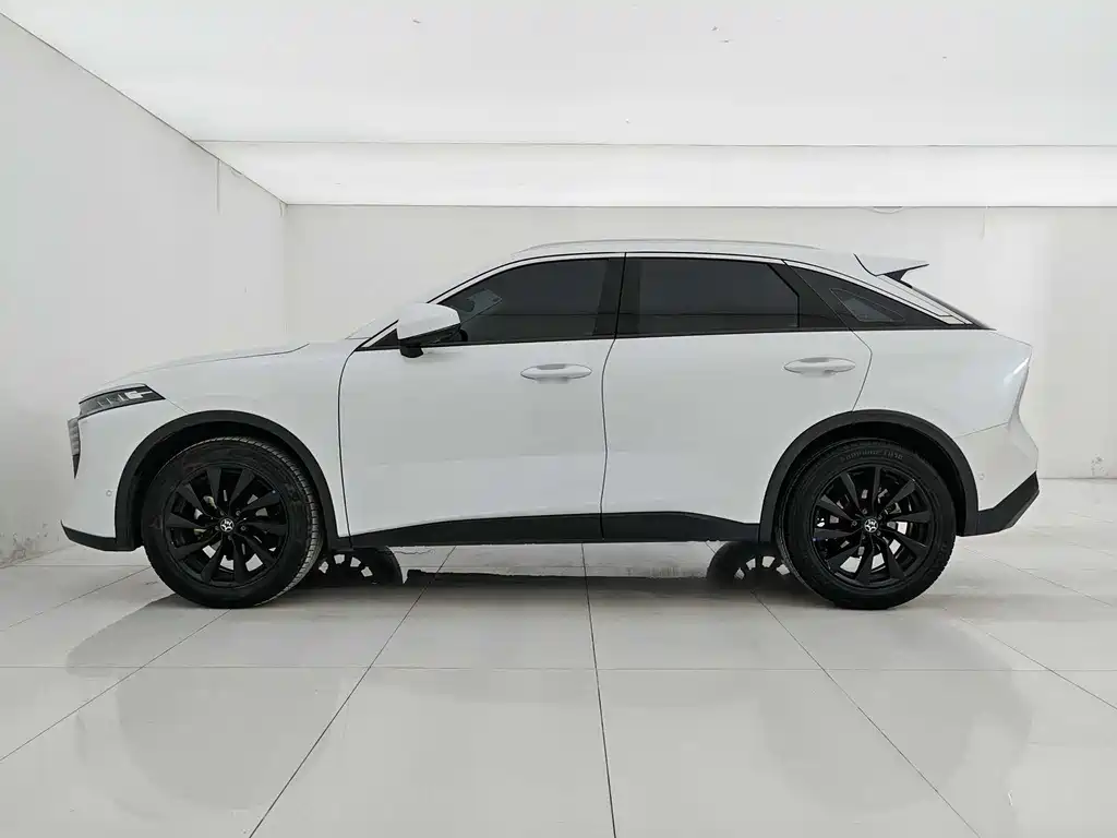 Venucia V 2022 260T