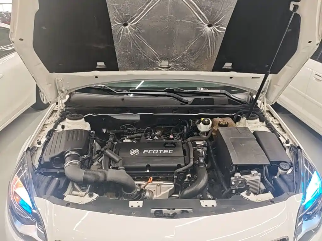 Buick Regal — миниатюра 20