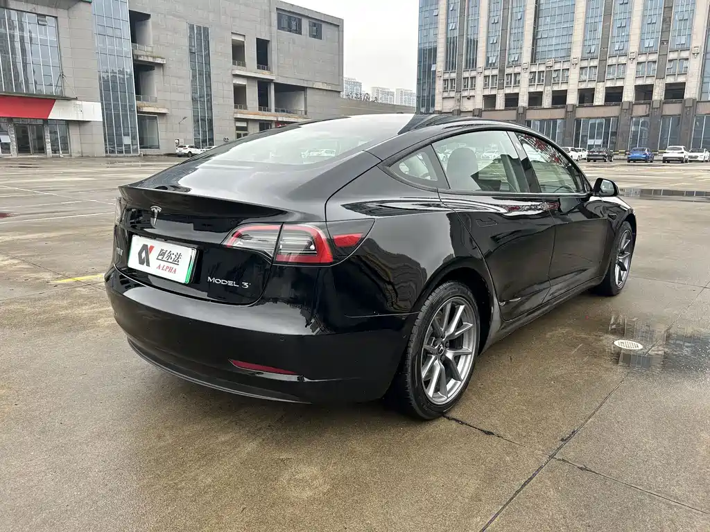 Tesla Model 3 — миниатюра 4