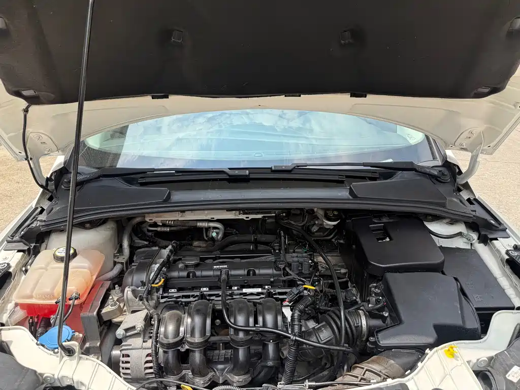 Ford Focus — миниатюра 30