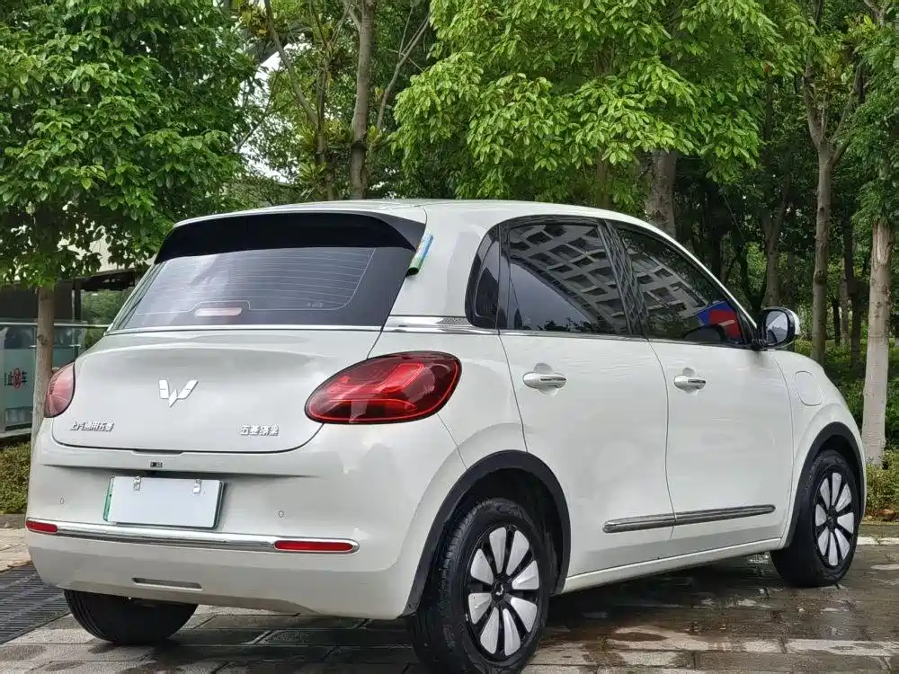 Wuling Binguo 2023 333km Enjoy