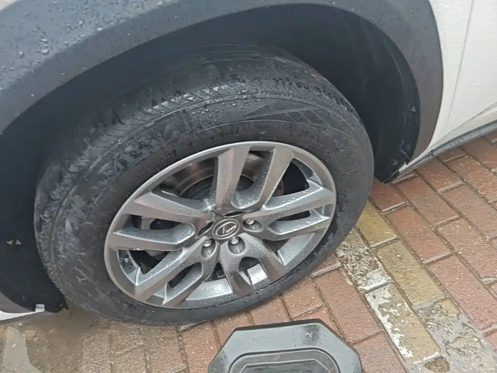 Lexus NX — миниатюра 23