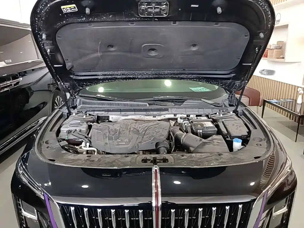 Hongqi Hongqi H5 — миниатюра 20