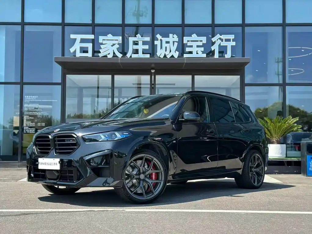 BMW X5 — миниатюра 2