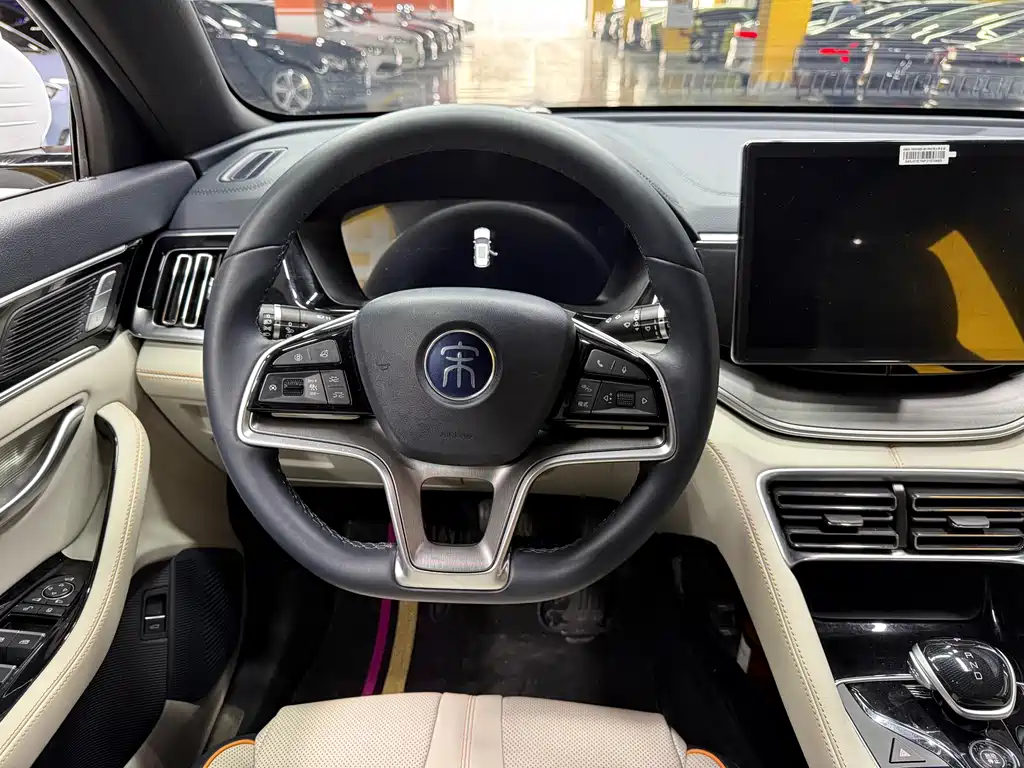 BYD PLUS New Energy — миниатюра 13