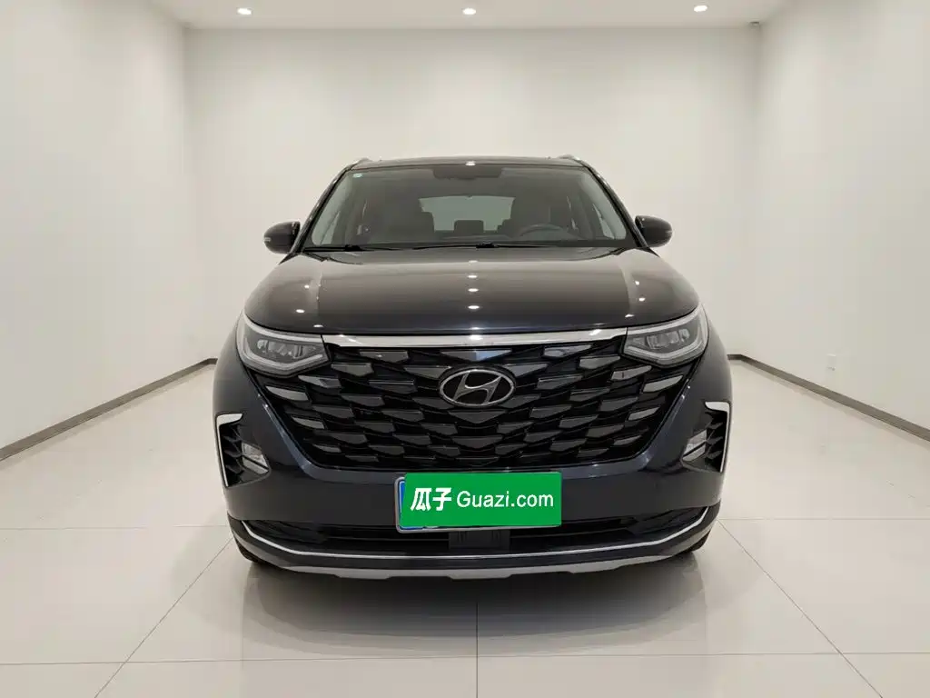 Hyundai Custo — миниатюра 2