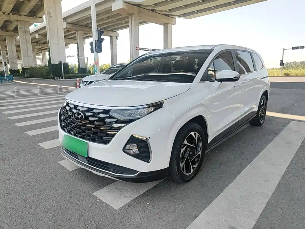 Hyundai Custo — миниатюра 2