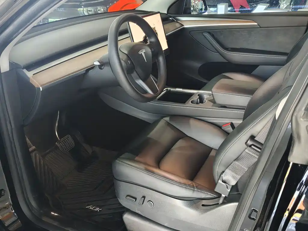 Tesla Model Y — миниатюра 10