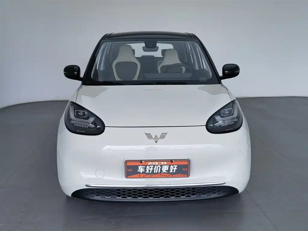 Wuling Binguo 2023 333km +